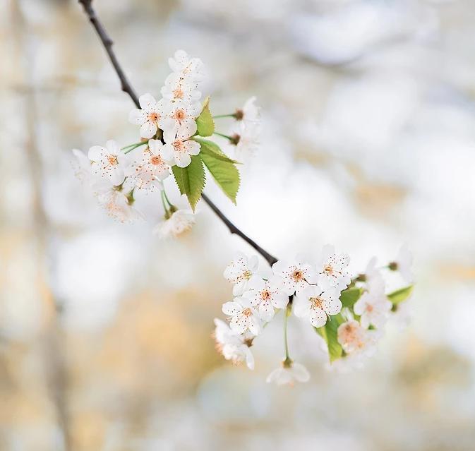 「厚上」春捂≠乱捂！孩子这样“捂”才正确