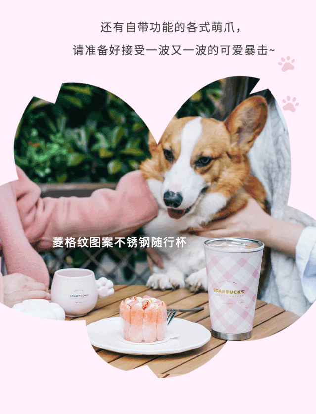 落樱飘雪冷萃与猫爪杯系列来了 | 沉醉樱花最美一刻