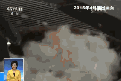 「防护」请为孩子收好这份防护攻略柳絮来袭