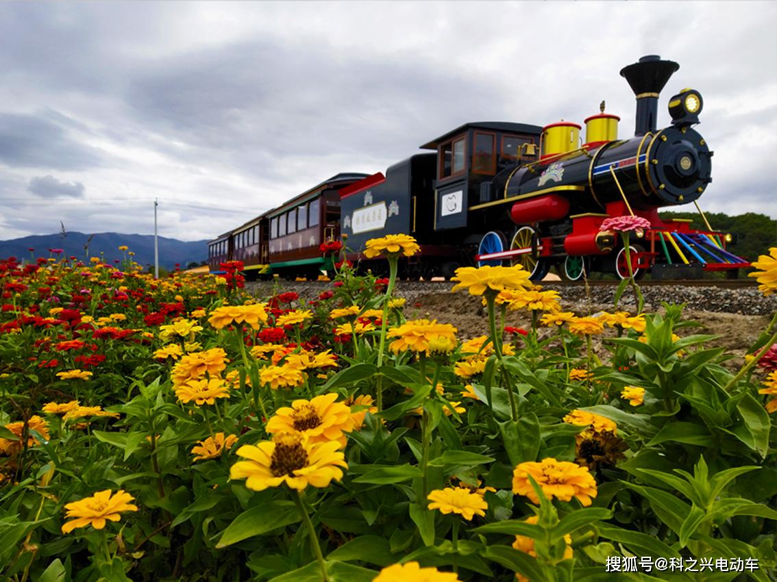 杭州千花里(径山花海)景区有轨观光小火车-科之兴