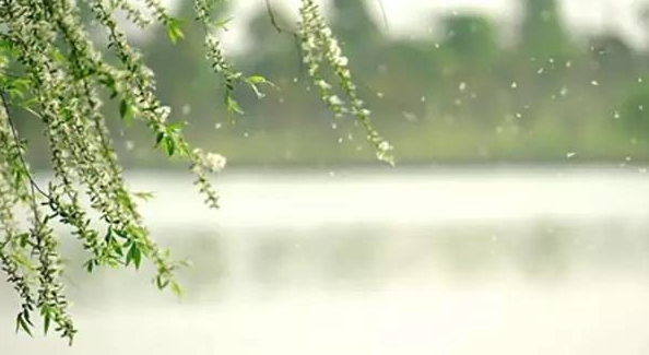 d71ca6309162400b993fd348f6a33dfe.png