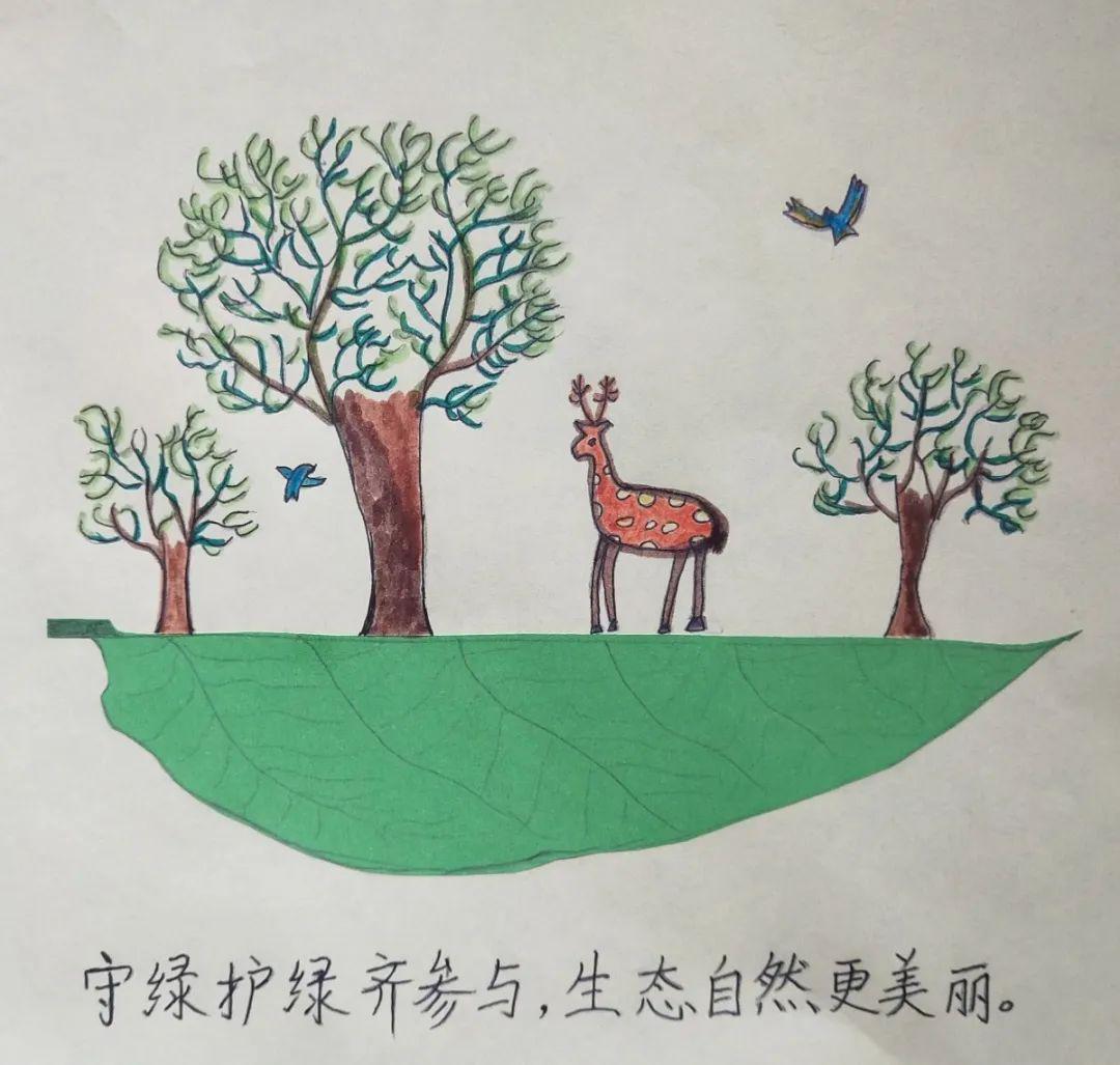 爱绿护绿我们在行动育才实验小学优秀爱绿护绿宣传卡片欣赏