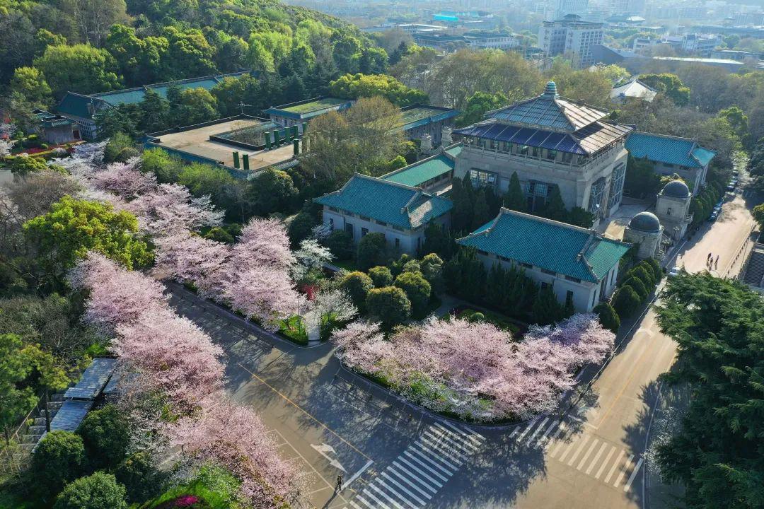 『寝室』直击9省高三开学现场! 教室寝室大变样! 学生太兴奋！高考延期, 你真的准备好了吗?