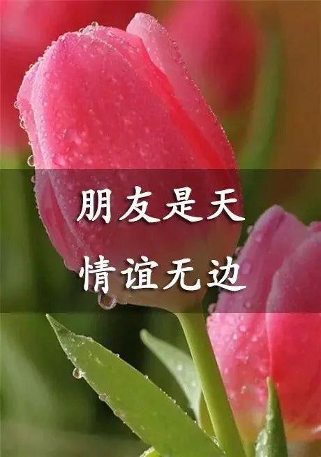 有种友谊,无须挂齿,却心神领会!