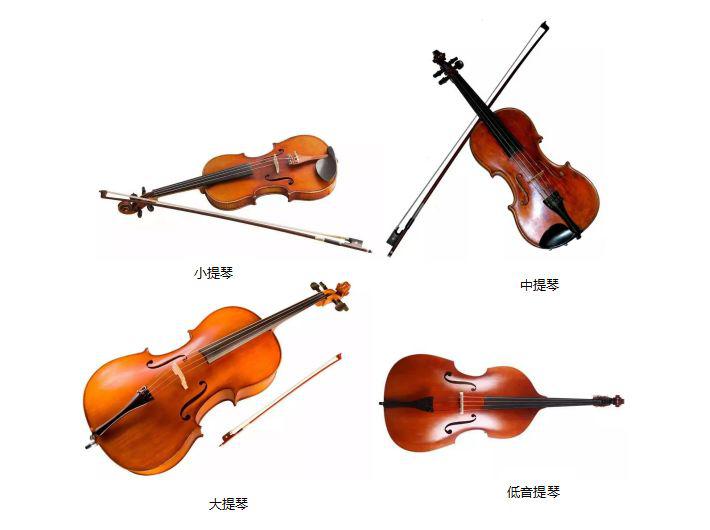 弓弦乐器包括了大家都非常熟悉的小提琴,中提琴,大提琴及低音提琴等