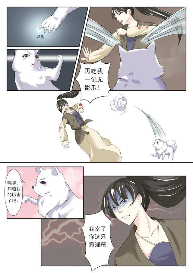 漫画《宠狐成妃》未完待续.返回搜狐,查看更多