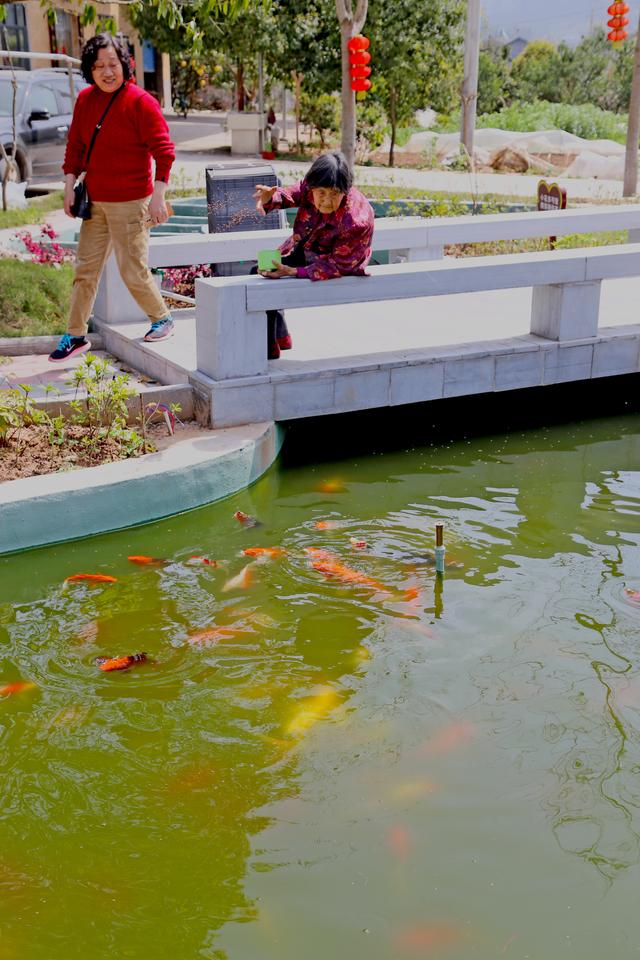 湖北宜昌:97岁老奶奶天天劳动不止,喂鱼时显可爱童心