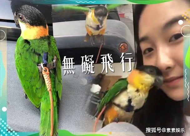 梁家辉女儿晒宠物照，曝光国外私人生活，平淡