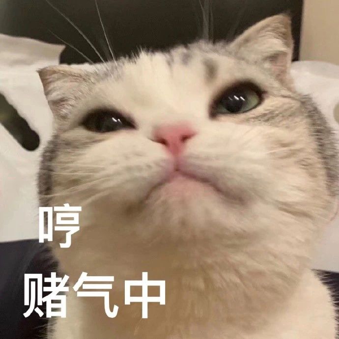 最新可爱表情包图片:漂亮姐姐,我陪你玩游戏