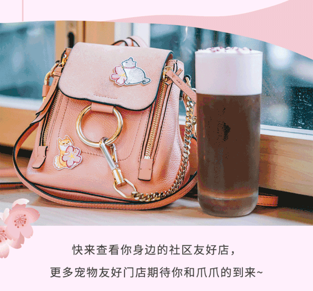 落樱飘雪冷萃与猫爪杯系列来了 | 沉醉樱花最美一刻