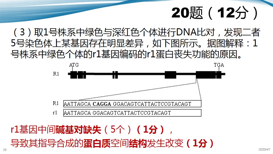 「生物」最新!2020届北京西城高三生物一模内部评分标准分析