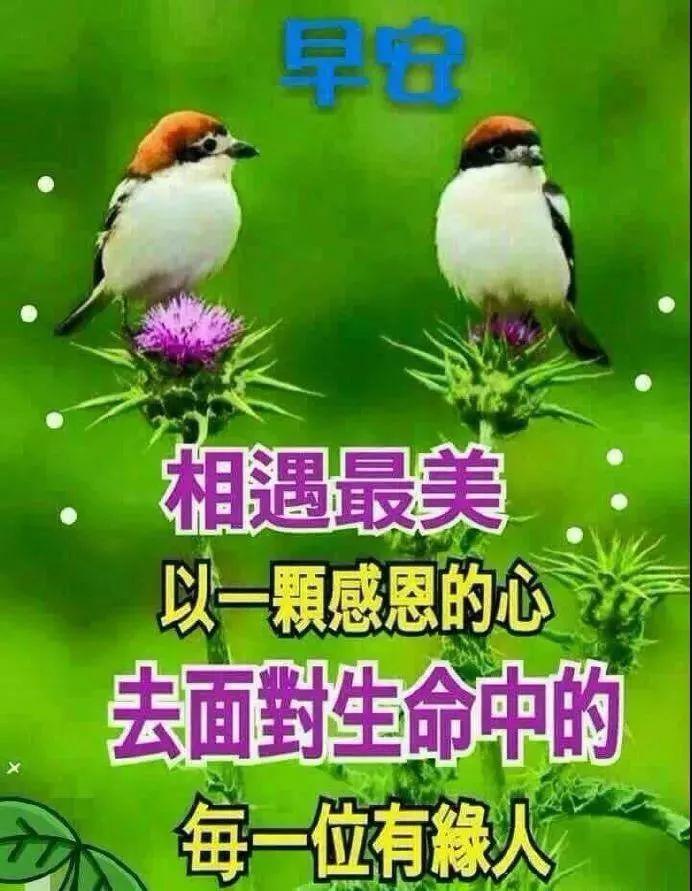 早安祝福表情及关心的话语早安祝福问候语图片