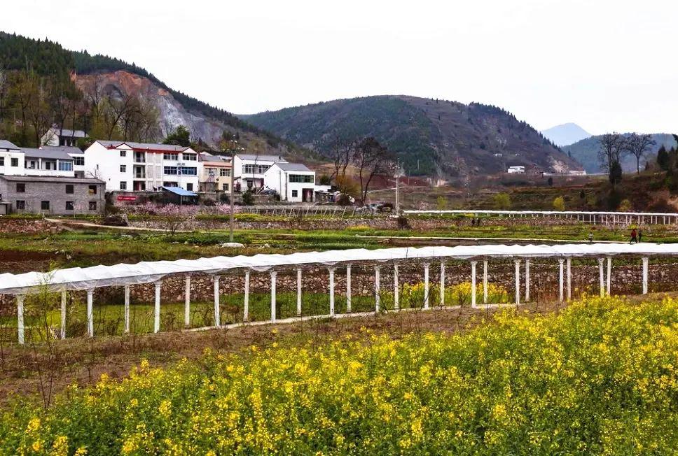 山,水,林,田,路等资源禀赋丰沛,发展生态农业 乡村旅游,带动后山片区