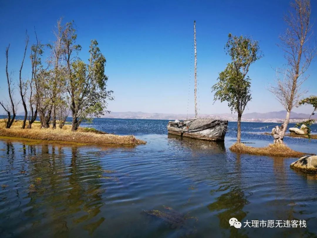 大理三月好风光闲游洱海月湿地公园面朝洱海春暖花开