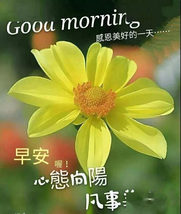 朋友圈超走心的早安问候动图带字 早上好祝福朋友的问候句子