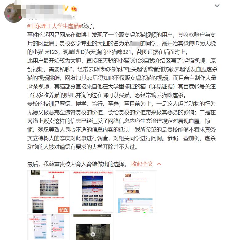 山东理工证实有学生虐杀猫贩卖视频！已批评教育，要求其道歉