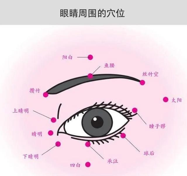 攒竹位于眉梢处,  鱼腰位于眉毛中间位置,  丝竹空为于眉尾,  瞳子髎