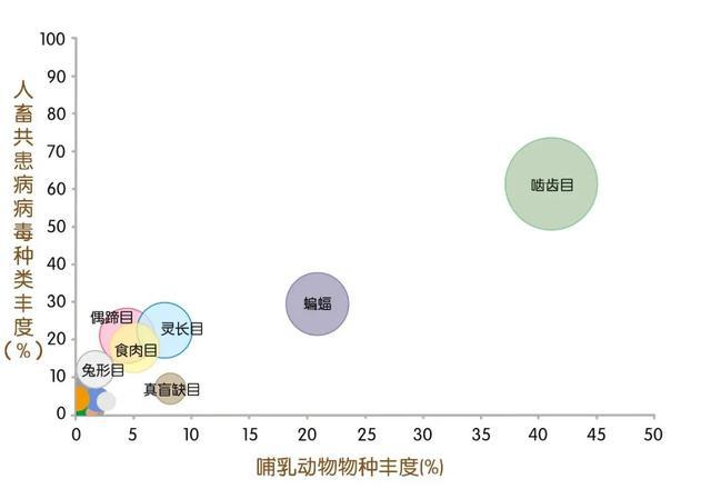 病毒溢出与物种灭绝,有着怎样的关联?