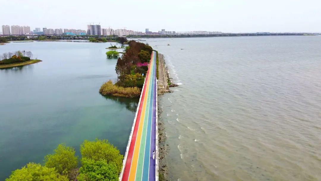 水韵广场位于贡湖湾湿地公园内彩虹步道时下最in的网红打卡地已经妥妥