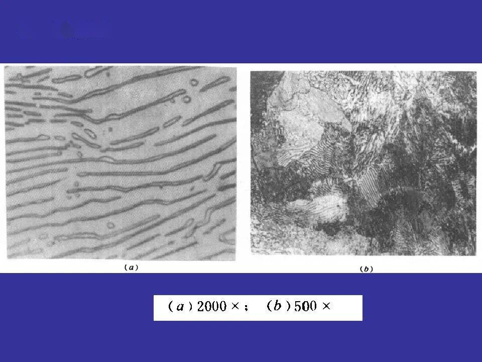 425526406631412fa909bc2c69219b29.jpeg