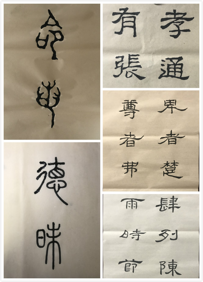 学了笔法,会写线了…学完篆书以后…学隶书,先笔画装饰,蚕头燕尾