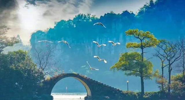 #志愿#报考指南完整版。学考也能上本科大学！学考、3+证书类填报志愿