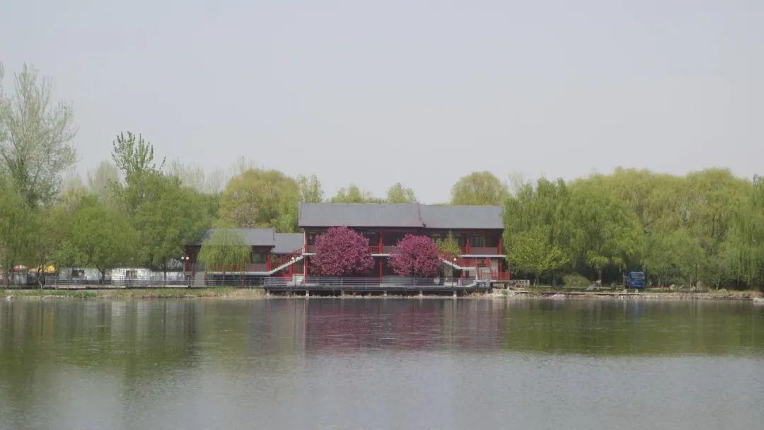72ccc6da4c72452f8810e47a43e50b1e.jpeg