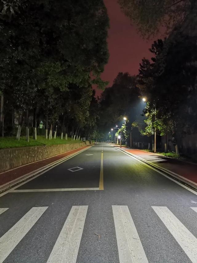 桂子山的夜晚更亮了!_路灯