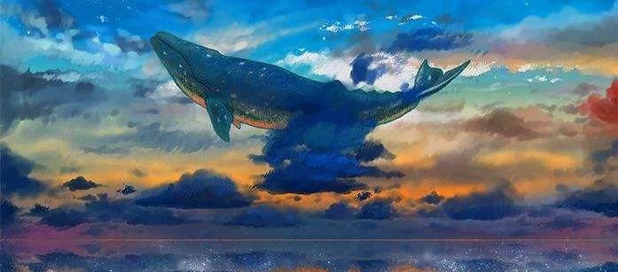 鲸落:深海最美的朝圣
