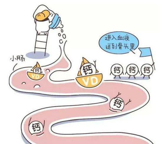 吃什么能消除乳酸堆积 7e68e5a8023a4dbfab4e14f6c158a75e.jpeg