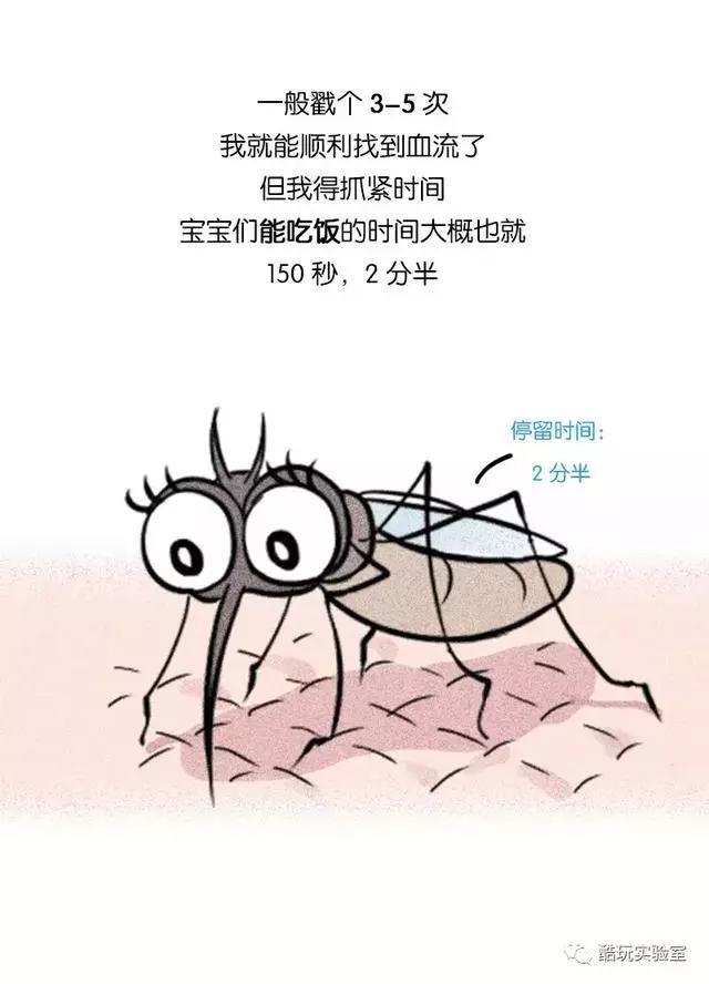 一只蚊子的自白!这些知识你都知道吗?(漫画)