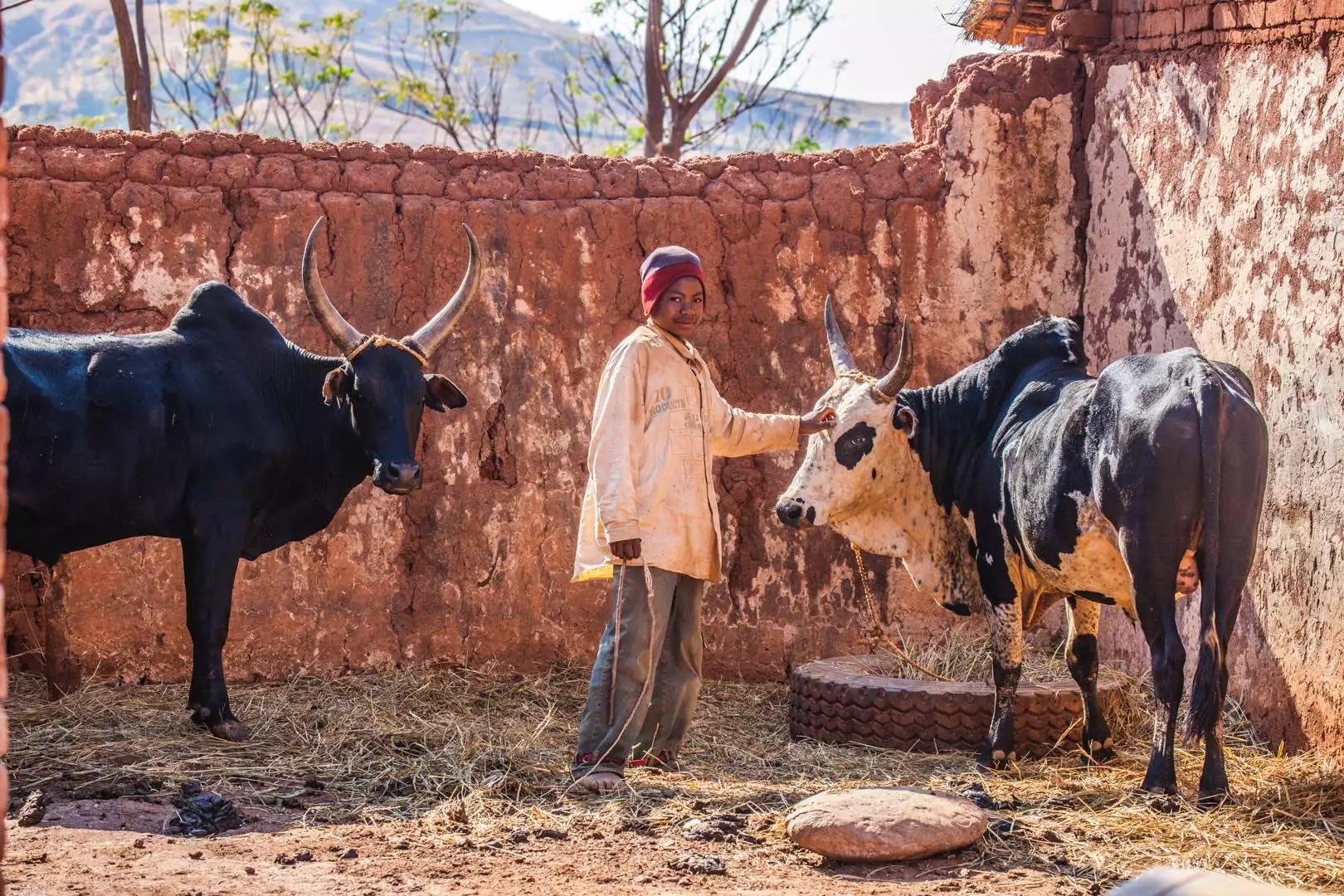 马达加斯加gdp_马达加斯加概览与经济数据(3)