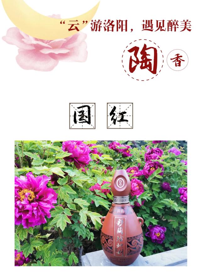 敢与国花争春色：“云”游洛阳，遇见醉美陶香！