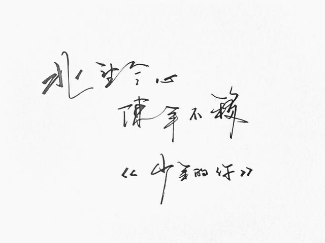 青野什么成语_什么是青驰菊(3)