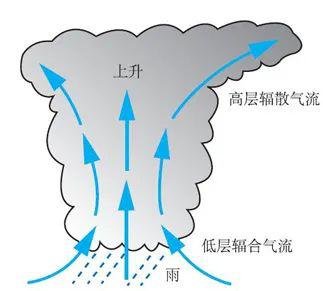 气旋中气流的垂直运动示意图