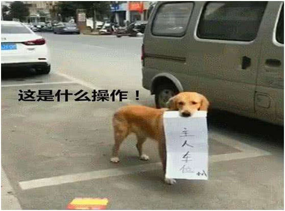 a38639aaaa304c91b8a5fc0410a2db94.jpeg