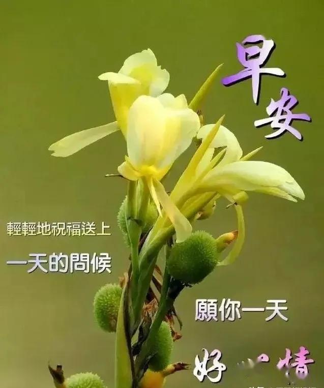 祝你度过美好的一天!愿清晨的问候给你带来一份清爽的心情,早安