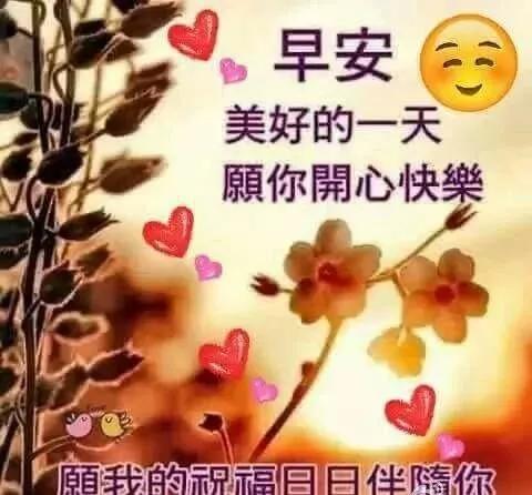 4月9日问候大家早上好动表情美女2020,清晨祝福早上好