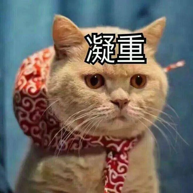 送给快疯掉的家庭和咆哮的老母亲