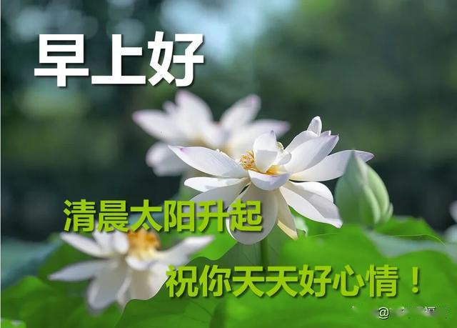 最新最暖早安图片 早上好最新祝福图片