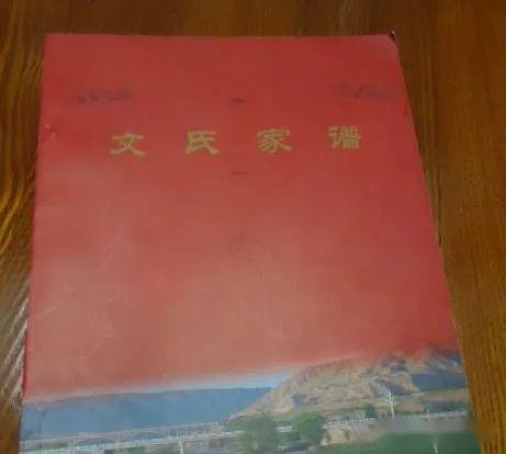 文姓人口_文氏数据|2022年全国人口减少85万人,文姓人口最新排名