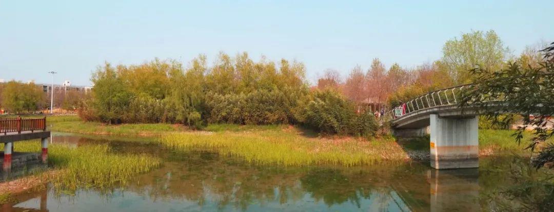 【图鉴】这里是长垣,这些地方您常去吗?_公园