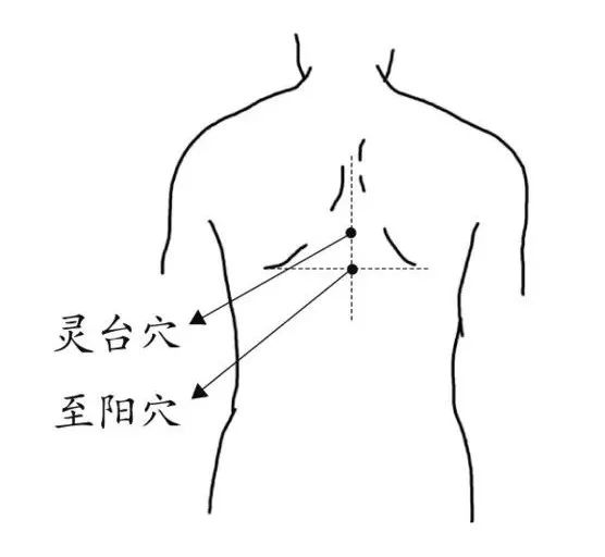 3.中脘穴——胃之阳