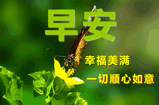 ϺʺͼƬ,糿ף,簲!