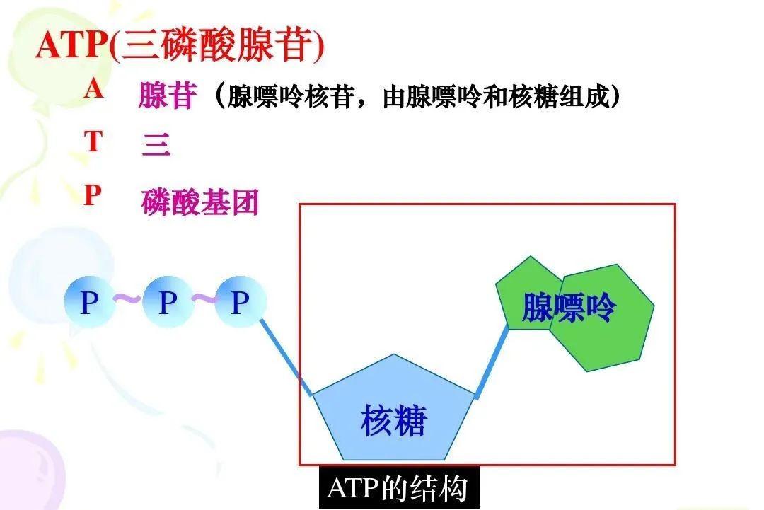 平权法则 e73e44ba981f4e09bfc9ba738678f21e.jpeg