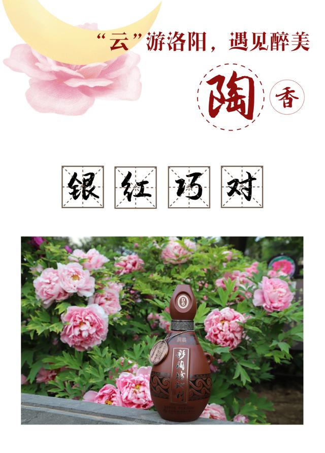 敢与国花争春色：“云”游洛阳，遇见醉美陶香！