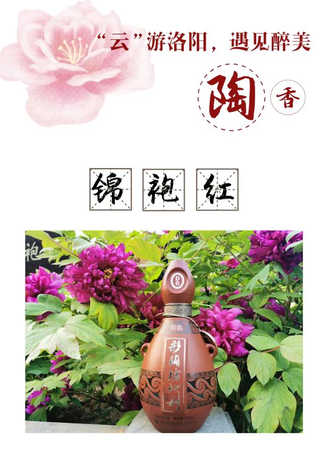 敢与国花争春色：“云”游洛阳，遇见醉美陶香！