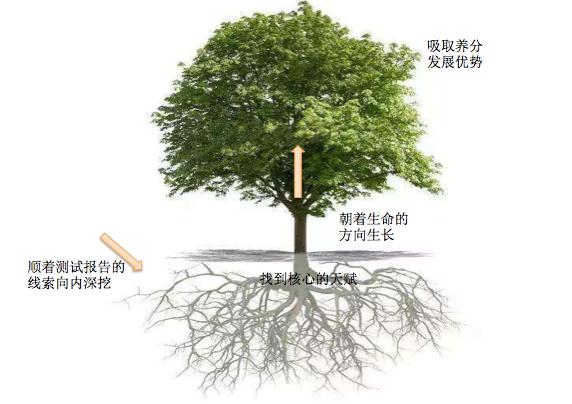 基于优势展开职业发展