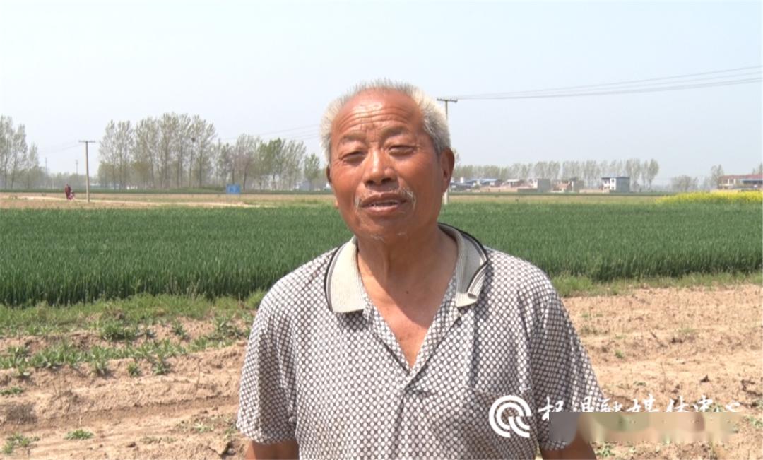 杞县宗店乡:芦笋尖尖顶开脱贫致富门