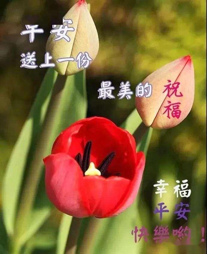 4月10日最新早上好特漂亮的动态祝福图片